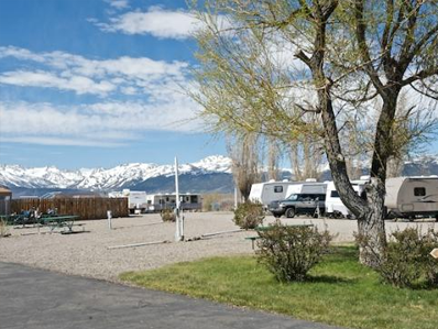 Professionally Maintained Vehicles