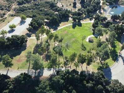 Professionally Maintained Vehicles