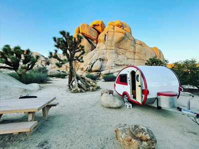 Professionally Maintained Vehicles