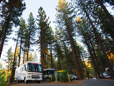 Professionally Maintained Vehicles