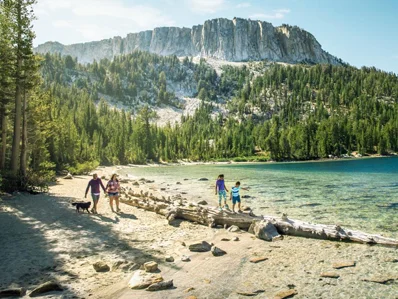 Professionally Maintained Vehicles