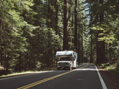 Professionally Maintained Vehicles