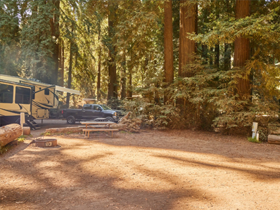 Professionally Maintained Vehicles