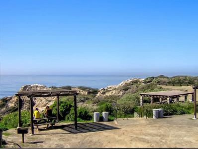 Professionally Maintained Vehicles