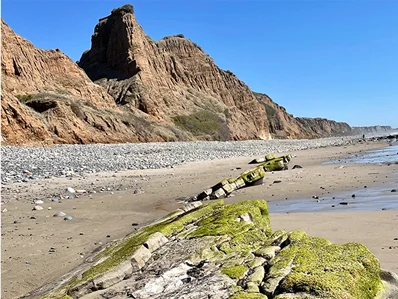 Professionally Maintained Vehicles