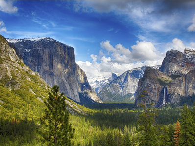 Professionally Maintained Vehicles